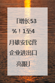 增长53%！1至4月雄安民营企业进出口亮眼