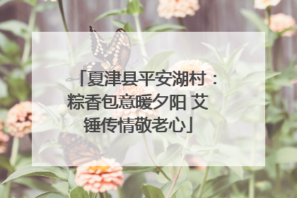 夏津县平安湖村：粽香包意暖夕阳 艾锤传情敬老心