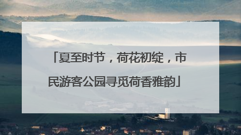 夏至时节，荷花初绽，市民游客公园寻觅荷香雅韵