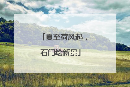 夏至荷风起，石门绘新景