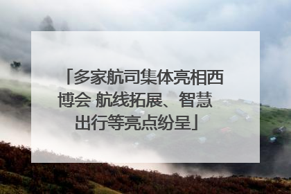 多家航司集体亮相西博会 航线拓展、智慧出行等亮点纷呈