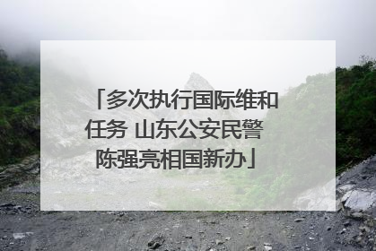 多次执行国际维和任务 山东公安民警陈强亮相国新办