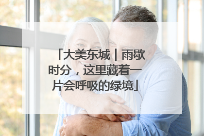 大美东城｜雨歇时分，这里藏着一片会呼吸的绿境