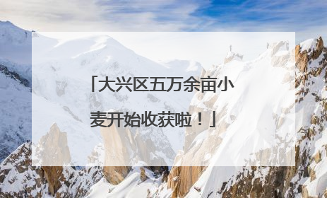 大兴区五万余亩小麦开始收获啦！