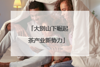 大别山下崛起茶产业新势力