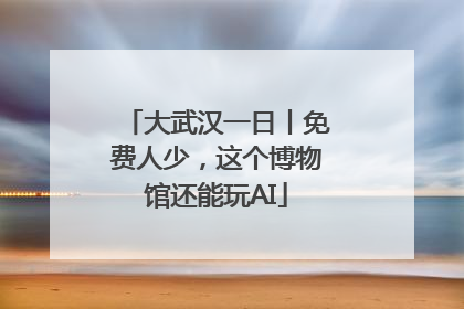 大武汉一日丨免费人少，这个博物馆还能玩AI
