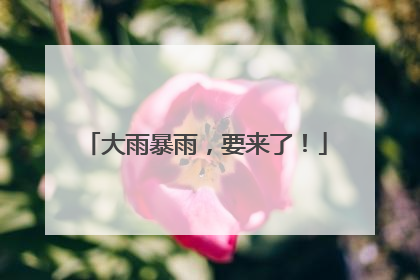 大雨暴雨，要来了！