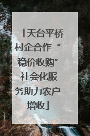 天台平桥村企合作“稳价收购” 社会化服务助力农户增收