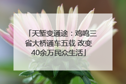 天堑变通途：鸡鸣三省大桥通车五载 改变40余万民众生活