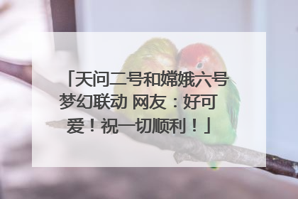天问二号和嫦娥六号梦幻联动 网友：好可爱！祝一切顺利！