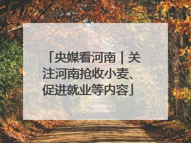 央媒看河南｜关注河南抢收小麦、促进就业等内容