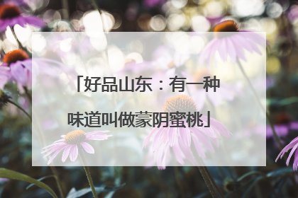 好品山东：有一种味道叫做蒙阴蜜桃