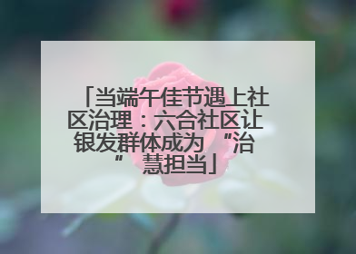 当端午佳节遇上社区治理：六合社区让银发群体成为 “治” 慧担当
