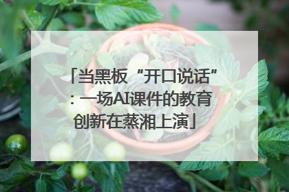当黑板“开口说话”：一场AI课件的教育创新在蒸湘上演