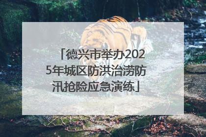 德兴市举办2025年城区防洪治涝防汛抢险应急演练