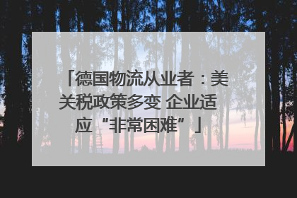 德国物流从业者：美关税政策多变 企业适应“非常困难”