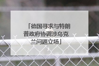 德国寻求与特朗普政府协调涉乌克兰问题立场