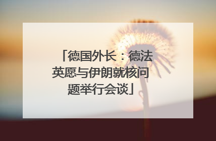 德国外长：德法英愿与伊朗就核问题举行会谈