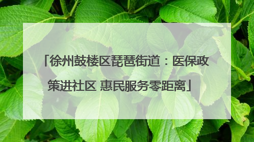 徐州鼓楼区琵琶街道：医保政策进社区 惠民服务零距离