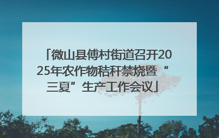 微山县傅村街道召开2025年农作物秸秆禁烧暨“三夏”生产工作会议