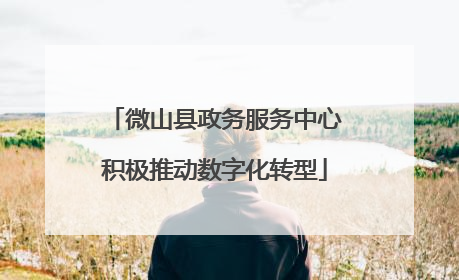 微山县政务服务中心积极推动数字化转型