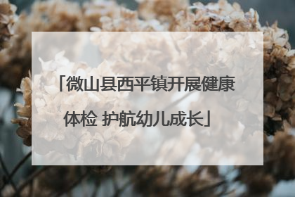 微山县西平镇开展健康体检 护航幼儿成长