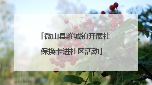 微山县驩城镇开展社保换卡进社区活动