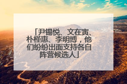 尹锡悦、文在寅、朴槿惠、李明博，他们纷纷出面支持各自阵营候选人