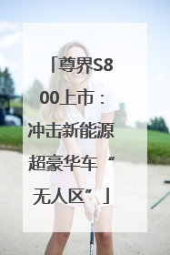 尊界S800上市：冲击新能源超豪华车“无人区”