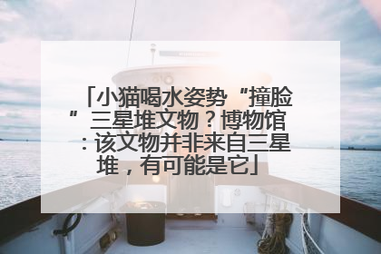 小猫喝水姿势“撞脸”三星堆文物？博物馆：该文物并非来自三星堆，有可能是它
