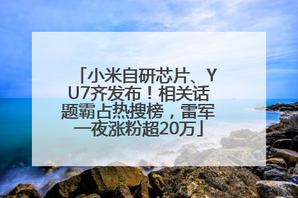 小米自研芯片、YU7齐发布！相关话题霸占热搜榜，雷军一夜涨粉超20万