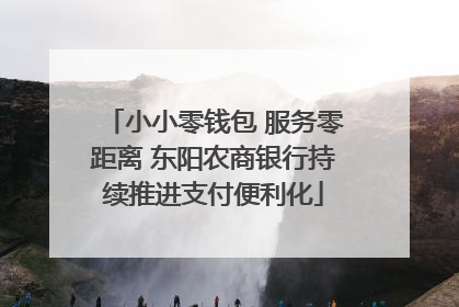 小小零钱包 服务零距离 东阳农商银行持续推进支付便利化