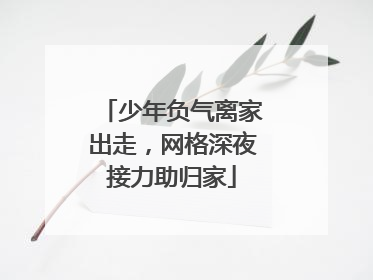 少年负气离家出走，网格深夜接力助归家