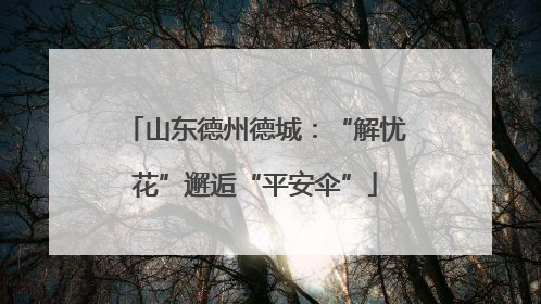山东德州德城：“解忧花”邂逅“平安伞”
