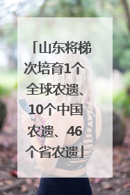 山东将梯次培育1个全球农遗、10个中国农遗、46个省农遗