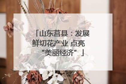 山东莒县：发展鲜切花产业 点亮“美丽经济”