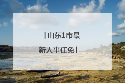 山东1市最新人事任免