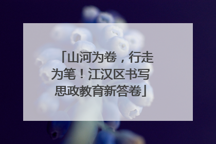 山河为卷，行走为笔！江汉区书写思政教育新答卷