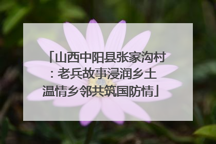 山西中阳县张家沟村：老兵故事浸润乡土 温情乡邻共筑国防情