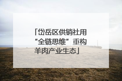 岱岳区供销社用“全链思维”重构羊肉产业生态