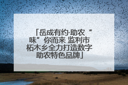 岳成有约·助农“味”你而来 监利市柘木乡全力打造数字助农特色品牌