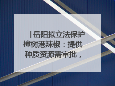岳阳拟立法保护樟树港辣椒：提供种质资源需审批，违规最高罚5万