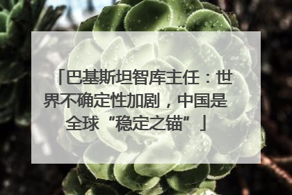 巴基斯坦智库主任：世界不确定性加剧，中国是全球“稳定之锚”