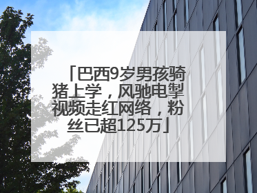 巴西9岁男孩骑猪上学，风驰电掣视频走红网络，粉丝已超125万