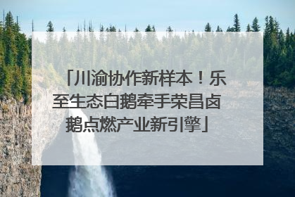 川渝协作新样本！乐至生态白鹅牵手荣昌卤鹅点燃产业新引擎