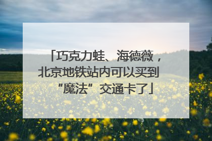 巧克力蛙、海德薇，北京地铁站内可以买到“魔法”交通卡了
