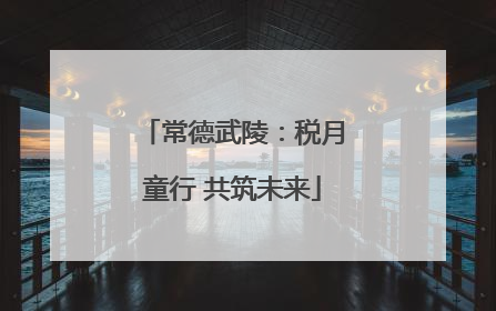 常德武陵：税月童行 共筑未来