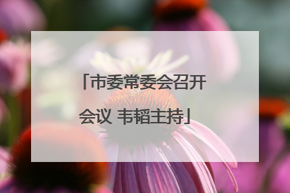 市委常委会召开会议 韦韬主持