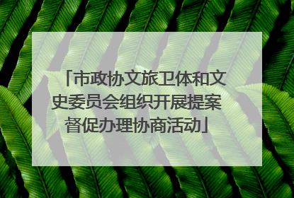 市政协文旅卫体和文史委员会组织开展提案督促办理协商活动