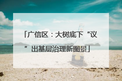 广信区：大树底下“议”出基层治理新图景